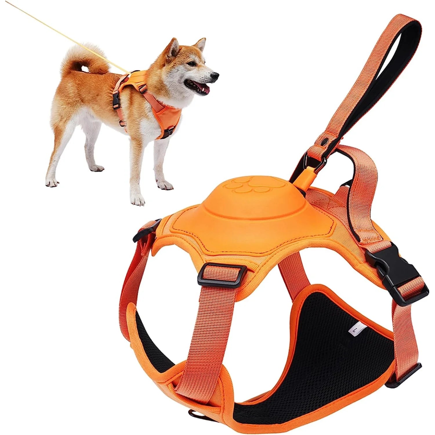 Dog Harness and Retractable Leash